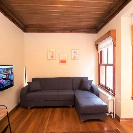 Cosy Wooden Aesthetic Flat In Besiktas شقة اسطنبول